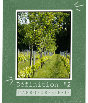 Définition agroforesterie