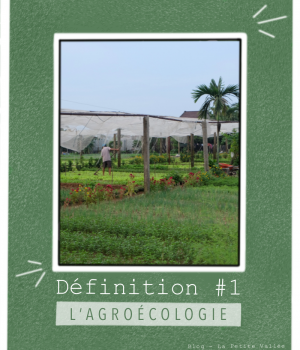 Définition agroécologie